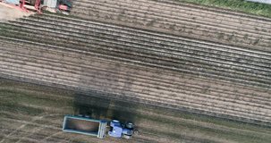 drone video of tractors on an agricultural field harvesting potatoes