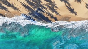 Shadows of coconut trees on the sunny Phuket beach, view from above. Nature video. Scene of landscape view of beach sea with waves on summer day. Palm trees by the sea. Summer vacation.
