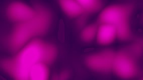 Fluid purple color glowing microscopic animated background, pink liquid background motion graphic video