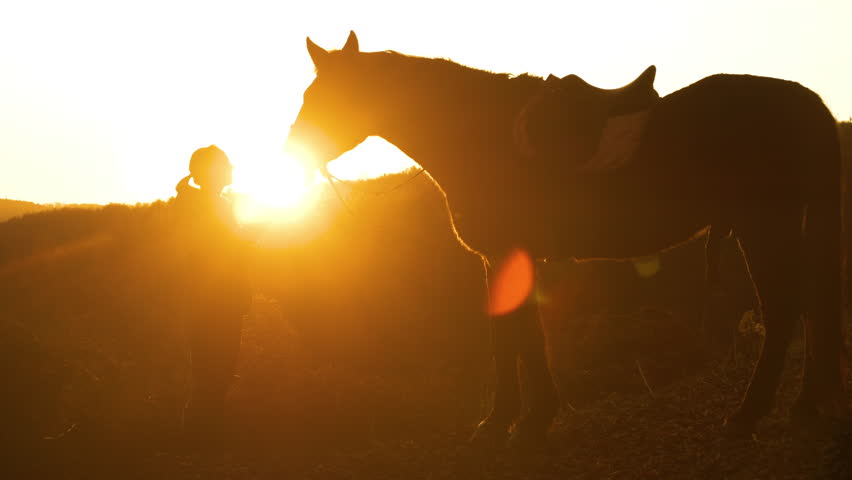 SILHOUETTE, LENS FLARE: Golden sunbeams shining between young lady and her horse. After ride through autumn countryside at sunset, they stand facing each other when she gives her brown stallion a kiss