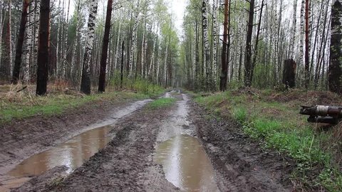 dirty road in the forest , rainy weather(view from ground level, the sound of rain)