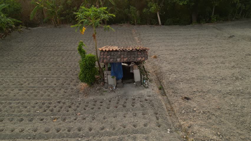 Aerial View of Hut in the middle of Indonesian rice fields,
Natural scenery of Indonesia Hut in the middle of rice fields in the morning.
