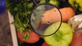 Close up of scientist studying vegetables under magnifying glass in laboratory
