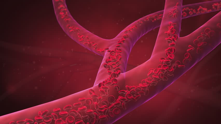 Red Blood Cell in an artery, Blood Flow, medical human health-care Concept Background, 3d animation.