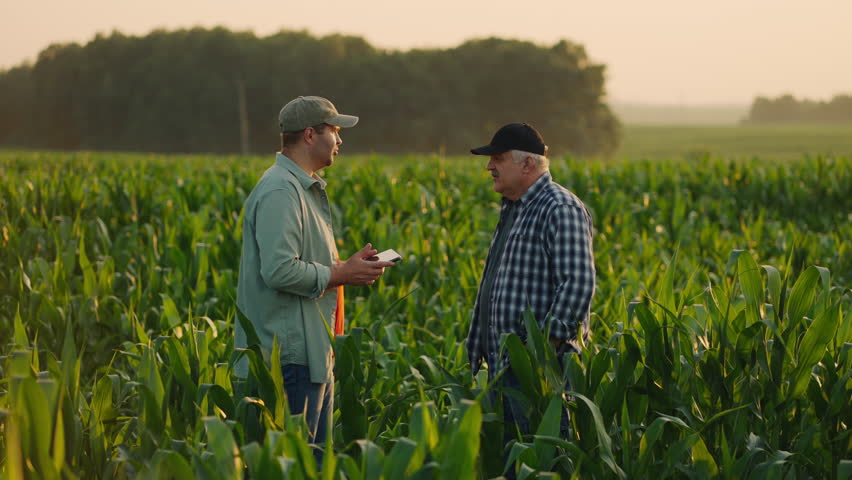 Two Farmers Shaking Hands On Cornfield In Summer , Deal Of Grain Trade And Supply, Agribusiness Royalty-Free Stock Footage #1109756123