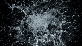 Super Slow Motion Shot of Round Water Splash Isolated on Black Background at 1000fps. - Powered by Shutterstock - Get 15% off with code: PIKWIZARD15