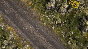 drone video of a lava and moss field in Iceland