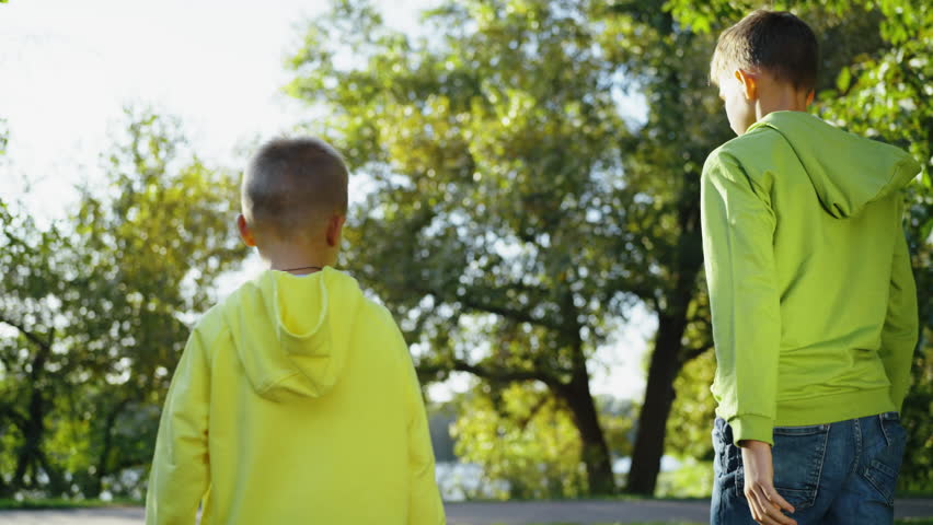 Back view two boys walking in park, younger extending his hand to the older one. Brothers spending their free time outdoors. Concept of childhood