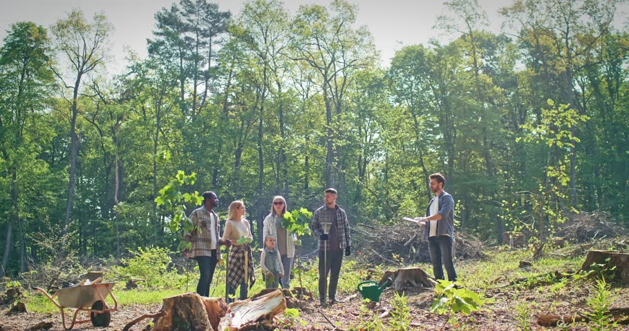 People of different ages planting trees in nice forest. Enthusiastic group of volunteers listening to leader and working together helping nature by growing more trees. Ecology concept.