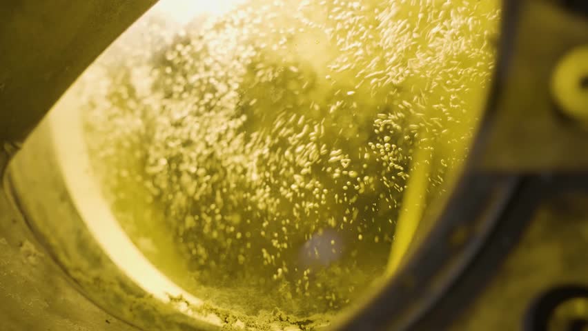 Close up of refining kernel palm oil in a machine tube at factory, Malaysia Royalty-Free Stock Footage #1109779793