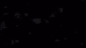 Swarm of Bats - Flying Over Screen  - Realistic 3D animation loop with alpha channel isolated on transparent background