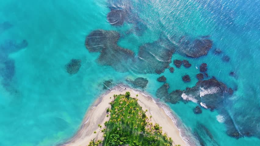 Aerial view of wild large Caribbean tropical island beach with palm trees. Blue turquoise sea and white sand in the background. Reefs in turquoise sea water. Atlantic Ocean, Dominican Republic beaches Royalty-Free Stock Footage #1109791927