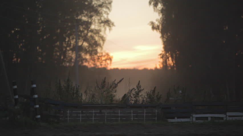 Horse rider horseback riding walking in a stable on the polygon, autumn landscape, warm sunset lighting