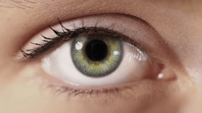Futuristic Technology Animation Travel Inside a Beautiful Green Female Eye Blinking. Black Pupil Opening. Journey Inside Eye to a Bright Neuron Animation with Electric Impulses. Nerve Cell.
 - Powered by Shutterstock - Get 15% off with code: PIKWIZARD15
