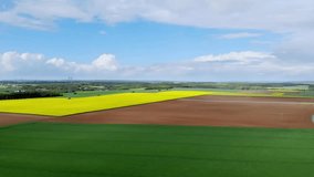 Aerial drone view of yellow rapeseed fields in Ile-de-France, France