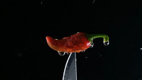 Wet Red Jalapeno Pepper On Knife Tip With Water Splashes Against Black Background. closeup - Powered by Shutterstock - Get 15% off with code: PIKWIZARD15