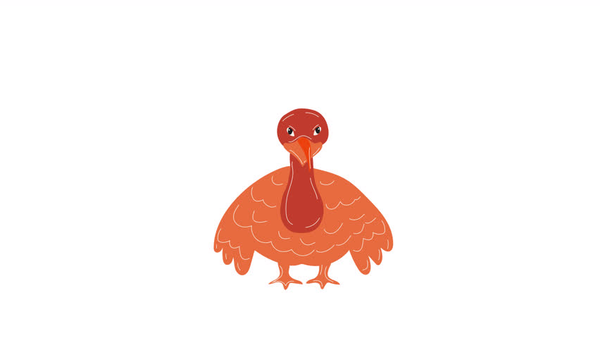 Cartoon Turkey in a pilgrim hat character animation. Video flat cartoon animation design element. 4K video footage, alpha channel transparency