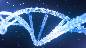 Animated construction of a DNA molecule from particles. Concept animation of digital DNA, human genome. Medical research, genetic engineering, biology. Futuristic 4k animation of DNA molecule
