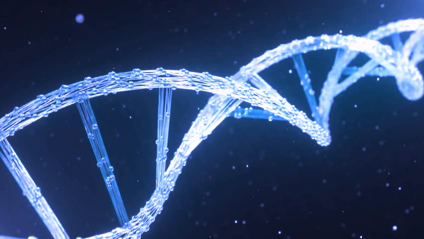 Seamless looping animation of rotating DNA strands, DNA. Abstract 3d polygonal wireframe, molecule helix spiral on blue. Medical science, genetic biotechnology, chemistry biology, gene cell concept. Royalty-Free Stock Footage #1109810109