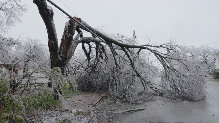 A Major Winter Ice Storm Knocks Down Trees and Power Lines In Texas Royalty-Free Stock Footage #1109815245