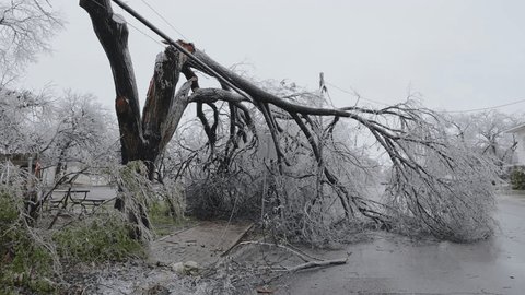 A Major Winter Ice Storm Knocks Down Trees and Power Lines In Texas Adlı Stok Video