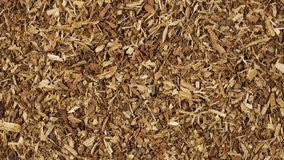 Oak bark chips, close-up. 4K Video, counterclockwise rotation. Crushed oak bark has a rich biochemical composition, contains tannins, gallic and ellagallic acids, uses in alternative medicine.