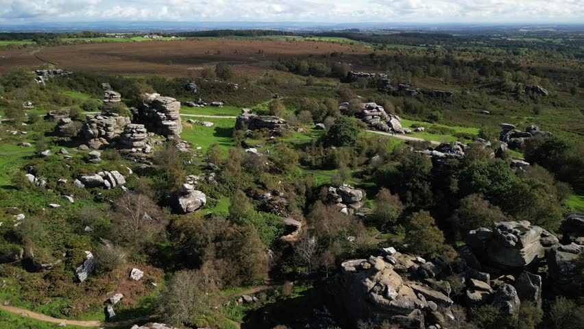 Brimham rocks, an ideal place for climbers, Yorkshire Dales national park in Great Britain. Bird