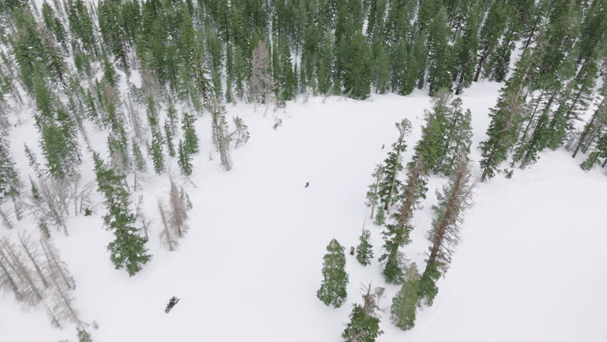 Aerial view Snowboarders in Mammoth Lakes resort in Sierra Nevada, California USA. Ski resort piste with people snowboarding in evergreen spruce forest with green pines trees. Ski area mountain resort