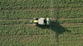 Vertical video. Top view of tractor spraying the field.
