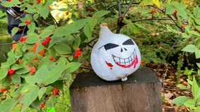 A spooky Jack O'Lantern, crafted from a carved pumpkin, adorns the grass as part of Halloween decoration preparation for the garden. Carving pumpkin heads with eerie faces is part of getting ready for