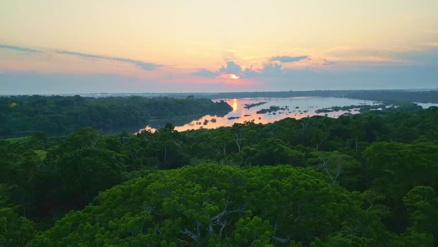 Scenic aerial sunset view of rainforest water jungle in Amazonas state Brazil Royalty-Free Stock Footage #1109854791