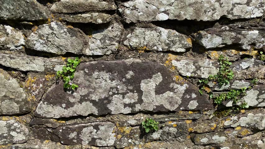 St Davids-the only Welsh cathedral behind the stone wall