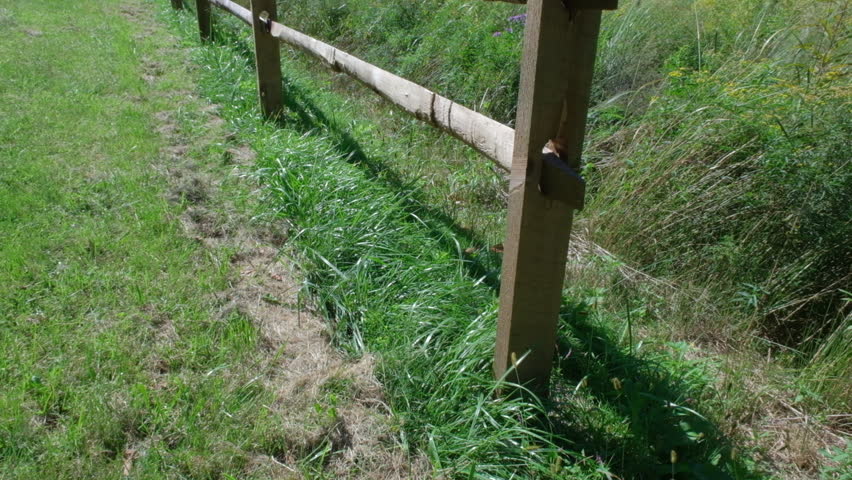 wooden fence by the field in the county park on a sunny day in late summer