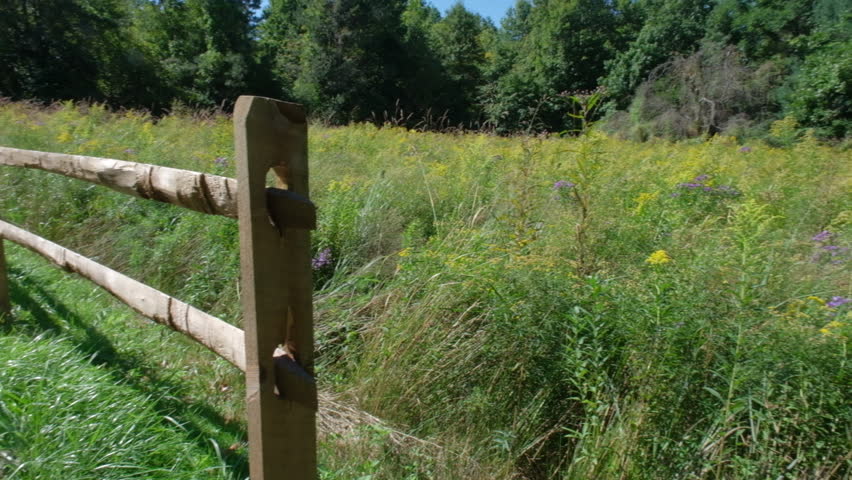 Wooden fence by the field in the county park on a sunny day in late summer | Shutterstock HD Video #1109859223