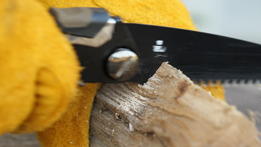 Cutting wood with a hand manual saw. Slow motion of sawdust flying. Broad-leaved oak tree. camping, outdoors, bonfire