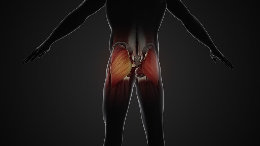 Pain and injury in the Gluteus Maximus Muscles Royalty-Free Stock Footage #1109885553