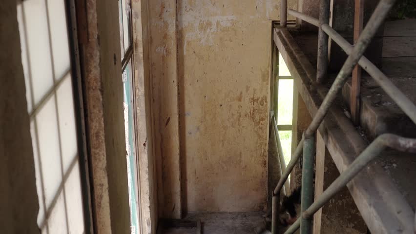Soldier in full US MARSOC armed with assault rifle run through the abandoned building. Military clash.