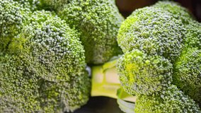 Vivid 4K Close-Up Dolly Shot of Fresh Broccoli Vegetable