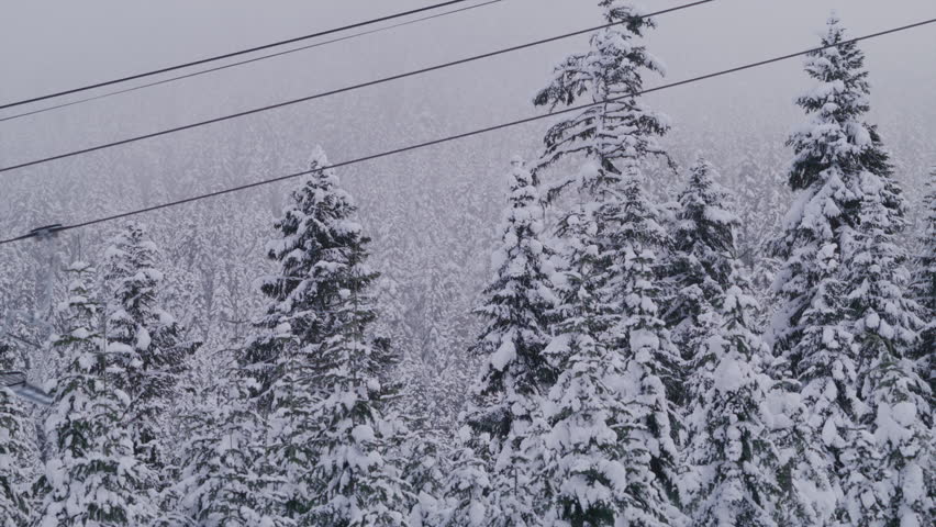 Chairlift with empty chairs and tourists moving over high coniferous trees covered with snow. Misty snowy coniferous forest with aerial lift over the tops. High quality 4k footage Royalty-Free Stock Footage #1109894643