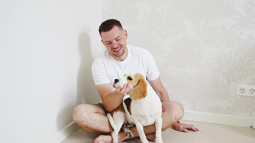 A young man sits on the floor in a room with a Beagle dog. Hunting dog in the apartment. Friendship between pets and owners.