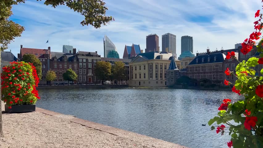 Seagull near Binnenhof complex Dutch government, house of representatives and office of Prime minister, Hofvijver lake, Den Haag, South Holland, Netherlands 20 September 2023. High quality 4k footage