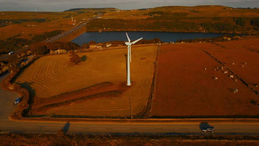 Cows Near Windmill In Farm