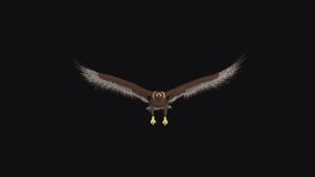 Golden Eagle - Flying Loop - Front Angle View - Realistic 3D animation isolated on transparent background with alpha channel