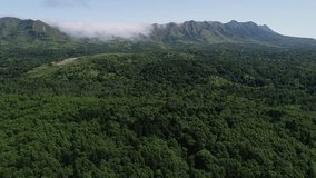 Arial view on mountain with green forest on foreground. Mist on top of the mountain.  Sakhalin Island, Russia. Summer, Daylight