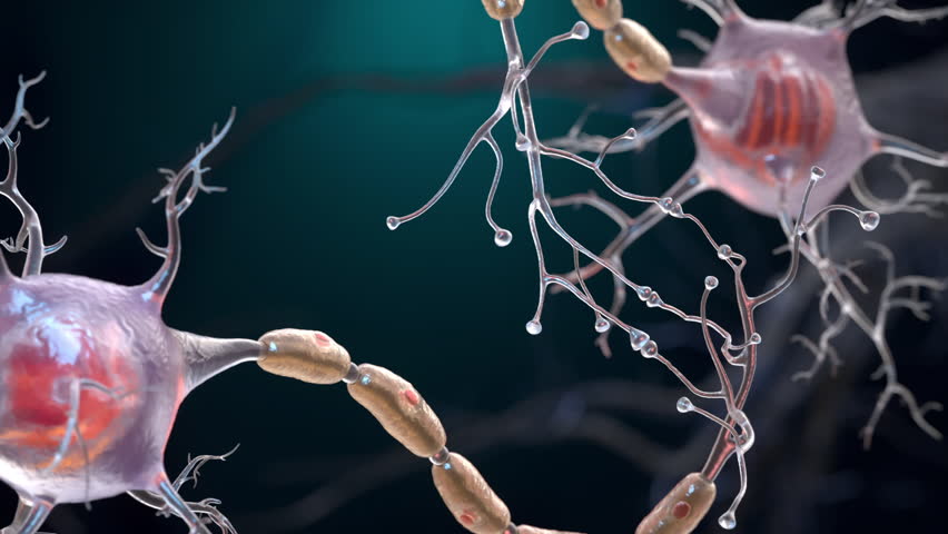 Neuron cells connection. Neurons also known as neurones or nerve cells. Neurons transmit information between different parts of the brain and between the brain and the rest of the nervous system.  Royalty-Free Stock Footage #1109912025