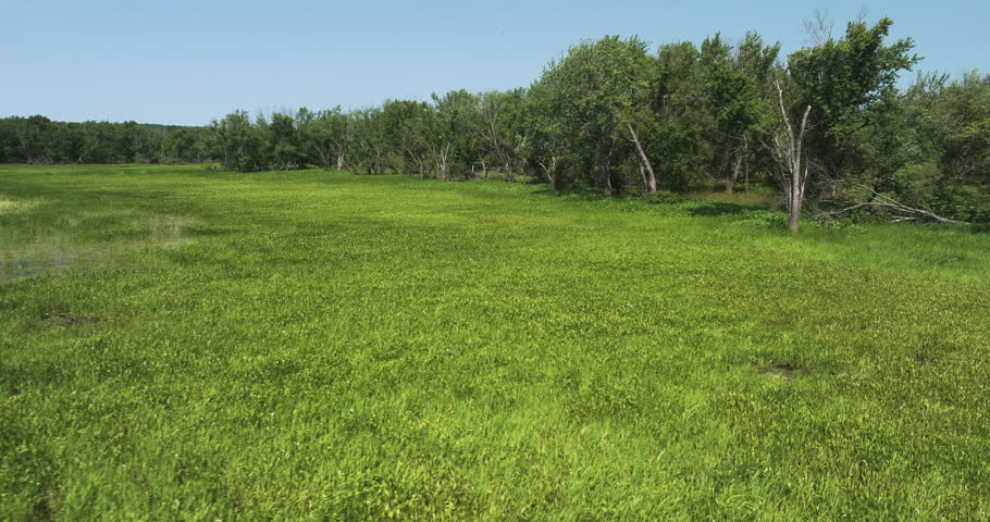 Lush Green Grassland, River And Forest At Upper Mississippi River - Beef Slough In Summer In Wisconsin, USA.