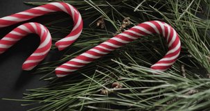 Vertical video of christmas candy canes and fir tree branches background. Christmas, sweets, decorations, tradition and celebration concept.