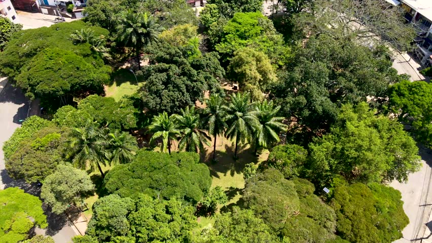 Parque del perro, Cali, Colombia, San fernando
