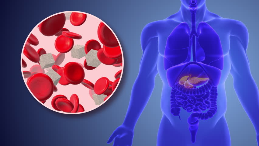 Pancreatic regulation of glucose homeostasis