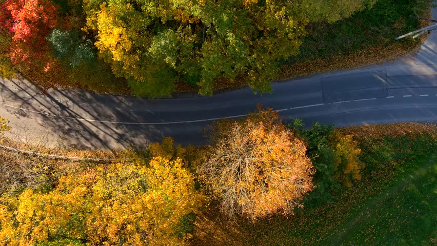 Bird's eye view of a road with cars passing by in autumn forest on a bright sunny day. Aerial colorful forest scene in autumn with orange and yellow foliage. Fall scenery. Royalty-Free Stock Footage #1109926263